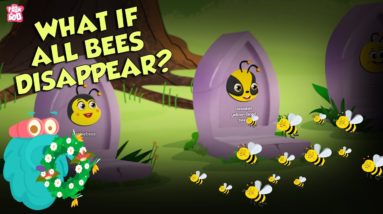 What If All BEES Disappear? | World Without BEES | The Dr Binocs Show | Peekaboo Kidz