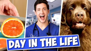 Doctor Day In The Life: Weekend Edition Ft. Bear