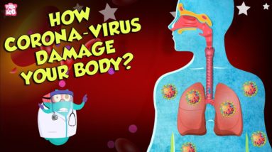 How Corona Virus Affects Your Body? | COVID-19 | The Dr Binocs Show | Peekaboo Kidz