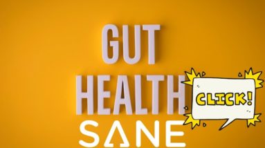 Viscera 3 ™: SANE Solution Gut Health