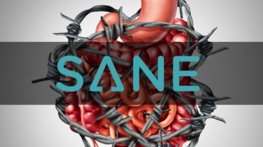 Viscera-3 | SANE Solution Postbiotic