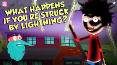 What Happens If You're Struck By LIGHTNING? | Thunder & Lightning | Dr Binocs Show | Peekaboo Kidz