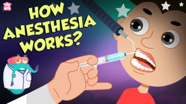 How Does Anesthesia Work? | Types Of Anesthesia | Dr Binocs Show | Peekaboo Kidz