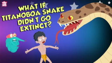 What If The Titanoboa Didn't Go Extinct?  | Biggest Snake Ever | Dr Binocs Show | Peekaboo Kidz