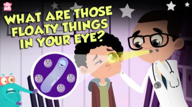 What Are Those Floaty Things In Your Eye? | Eye Floaters | The Dr Binocs Show | Peekaboo Kidz
