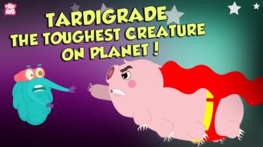 What Are Tardigrades? | The Strongest Creature Ever | The Dr Binocs Show | Peekaboo Kidz