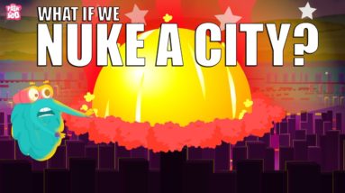 What If We Nuke A City? | Nuclear War | The Dr Binocs Show | Peekaboo Kidz