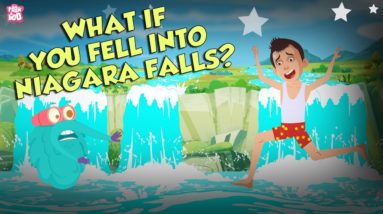 What If You Fall into Niagara Falls? | Niagara Waterfall | The Dr Binocs Show | Peekaboo Kidz