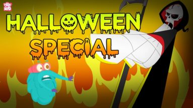 Everything About Halloween | Halloween Special | The Dr Binocs Show | Peekaboo Kidz