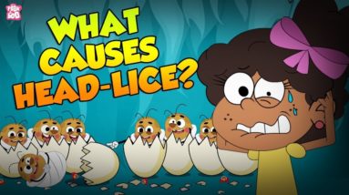 What Causes Head Lice? | Treatment For Head Lice | The Dr Binocs Show | Peekaboo Kidz