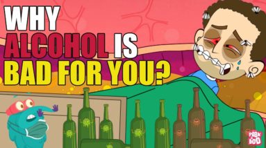 Why Alcohol Is Bad For You? | Side Effects Of Alcohol | The Dr Binocs Show | Peekaboo Kidz