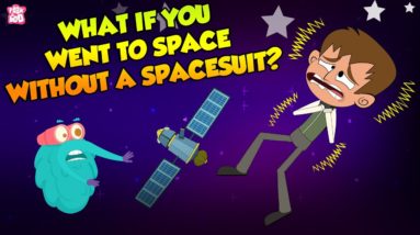 What If You Went To Space Without A Spacesuit? | Space Video | The Dr Binocs Show | Peekaboo Kidz