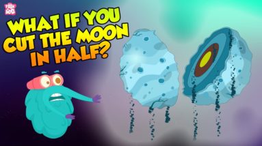 What If The Moon Split In Half? | Moonquake | The Dr Binocs Show | Peekaboo Kidz