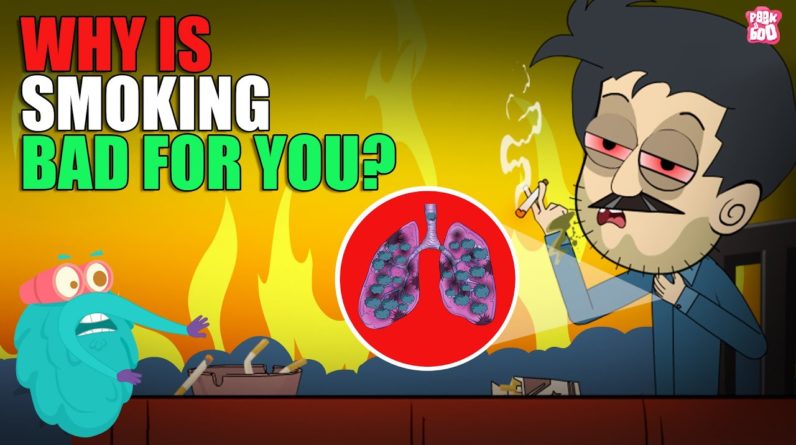 Why Is Smoking Bad For You? | Ciggarette smoking | The Dr Binocs Show | Peekaboo Kidz