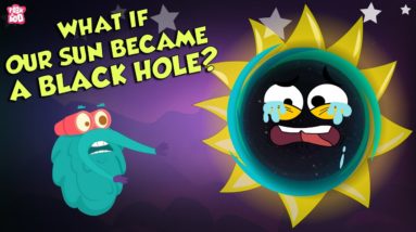 What If Our Sun Became A Black Hole? | Black Hole | The Dr Binocs Show | Peekaboo Kidz