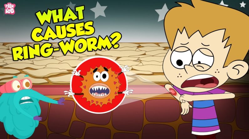 What Causes Ringworms? | Skin Infection | The Dr Binocs Show | Peekaboo Kidz