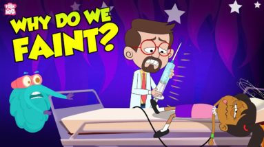 Why Do We Faint? | Causes Of Fainting | The Dr Binocs Show | Peekaboo Kidz