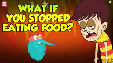 What If You Stopped Eating Food? | Starving Yourself | The Dr Binocs Show | Peekaboo Kidz