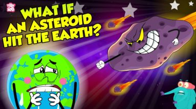 What If An Asteroid Hits The Earth? | Asteroid Attack | The Dr Binocs Show | Peekaboo Kidz