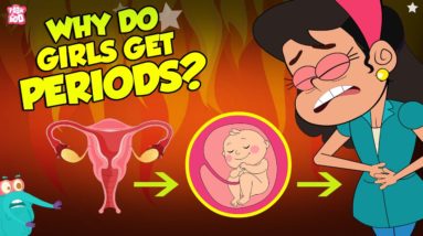 Why Do Girls Get Periods? | Menstruation | The Dr Binocs Show | Peekaboo Kidz