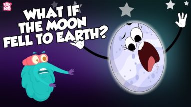 What If The Moon Fell To Earth? | Moon Crash | The Dr Binocs Show | Peekaboo Kidz