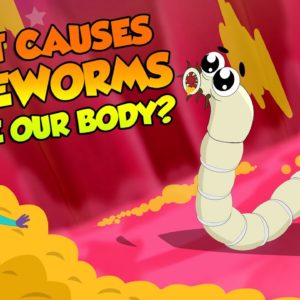 What Causes Tapeworms Inside Our Body? | Tapeworm Infection | The Dr Binocs Show | Peekaboo Kidz