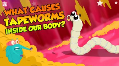 What Causes Tapeworms Inside Our Body? | Tapeworm Infection | The Dr Binocs Show | Peekaboo Kidz