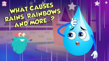 What Causes Rains, Rainbows And More? | All About Rain | The Dr Binocs Show | Peekaboo Kidz
