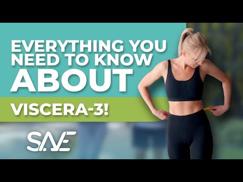 Everything you need to know about Viscera-3