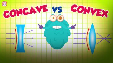What Are Concave & Convex Lenses? | Bending Of Light | The Dr Binocs Show | Peekaboo Kidz