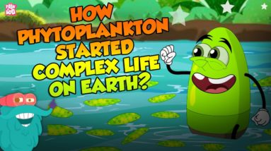 How Phytoplankton Started Complex Life On Earth? | Plankton | The Dr Binocs Show | Peekaboo Kidz