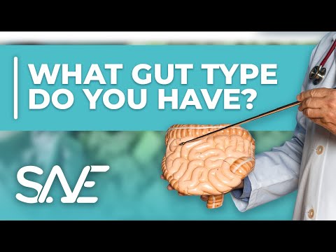 What gut type do you have?