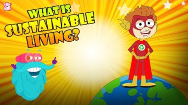 What Is Sustainable Living? | Eco-Friendly Habits | The Dr Binocs Show | Peekaboo Kidz