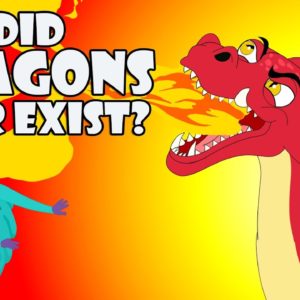 Did Dragons Ever Exist? | Story Of The Dragon | The Dr Binocs Show | Peekaboo Kidz