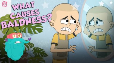 What Causes Baldness? | Causes Of Hair Loss | The Dr Binocs Show | Peekaboo Kidz