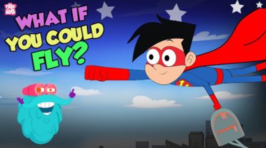 What If You Could Fly? | Superpower To Fly | The Dr Binocs Show | Peekaboo Kidz