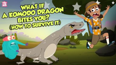 What If A Komodo Dragon Bites You? | Komodo Venom Effects | The Dr Binocs Show | Peekaboo Kidz