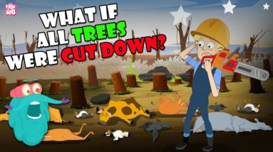 What If All Trees Were Cut Down? | Life Without Trees | The Dr Binocs Show | Peekaboo Kidz