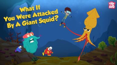 What If You Were Attacked By A Giant Squid? | Squid Attack | The Dr Binocs Show | Peekaboo Kidz
