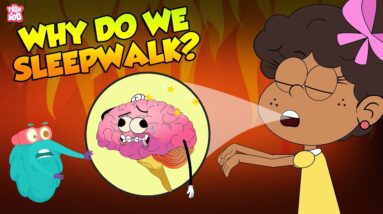 Why Do We Sleepwalk? | Sleepwalking | The Dr Binocs Show | Peekaboo Kidz