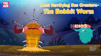 Bobbit Worms | Most Terrifying Creatures Ever | The Dr Binocs Show | Peekaboo Kidz
