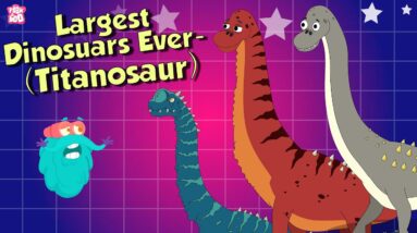 TITANOSAUR - The Largest Dinosaurs Ever | Sauropod Dinosaurs | The Dr Binocs Show | Peekaboo Kidz
