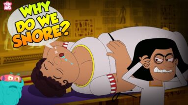 Why Do We Snore? | Sleep Apnea | How To Stop Snoring? | The Dr Binocs Show | Peekaboo Kidz