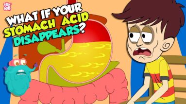 What If Your Stomach Acid Disappeared? | Gastric Acid | The Dr Binocs Show | Peekaboo Kidz