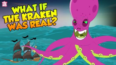What If The Kraken Was Real? | Legendary Sea Monster Kraken Size and Story | The Dr Binocs Show