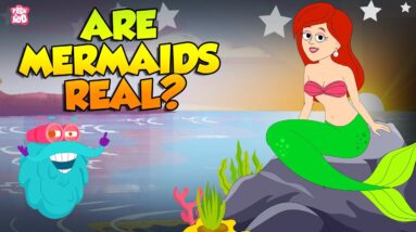 Are Mermaids Real? | Story of Mermaids | The Truth Behind the Mermaid Myth | The Dr. Binocs Show