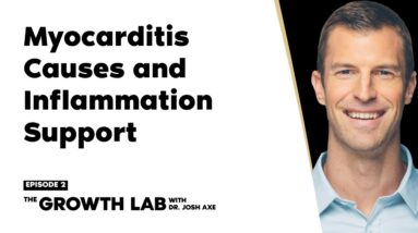 Myocarditis Causes and Inflammation Support