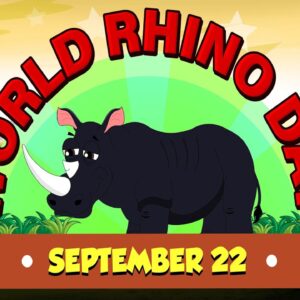 Rhinoceros Safari Park | Story of World Rhino Day | All About Rhinos for Kids | Dr. Binocs Show