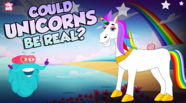 Are Unicorns Real? | One Horn Horse Mystery | Did Unicorns Ever Exist? | The Dr. Binocs Show