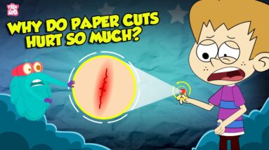 Why Do Paper Cuts Hurt So Much? | How Does Your Brain Respond to Pain? | The Dr. Binocs Show